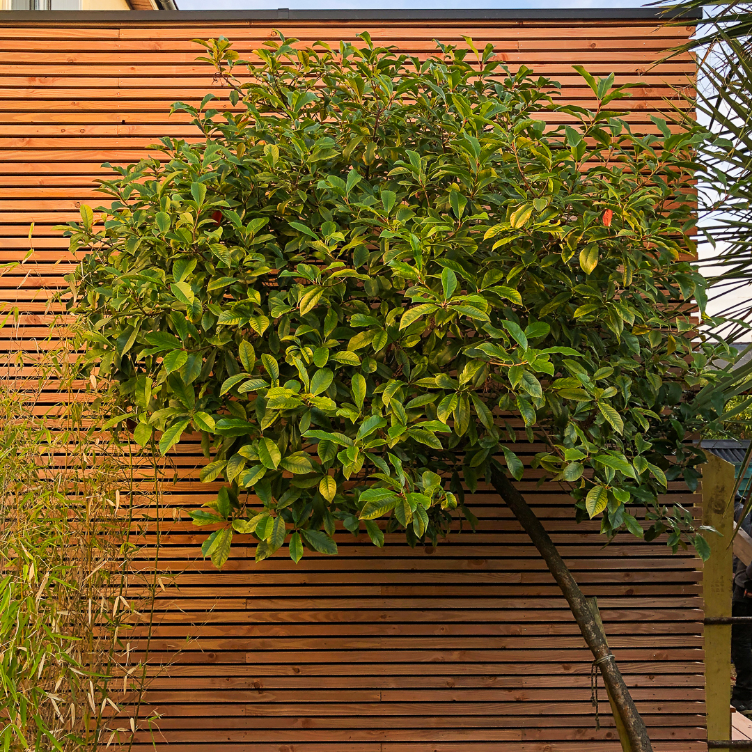 KOBAN architectes_Guillaume Lenfant architecte_Extension maison MT_Jean Jouvenet 8
